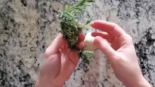 Nature Imprints in Homemade Air-Dry Clay