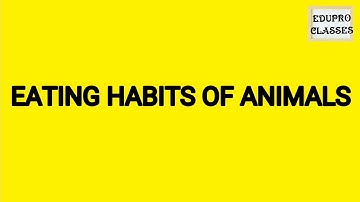Class 1and 2, Food for animals, rbse, Evs for class 2, environment, CBSE, eating habits of animals