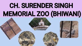 CH. SURENDER SINGH MEMORIAL ZOO , BHIWANI the memorial tournament presented by workday