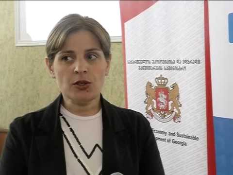 შეხვედრა თელავში ციფრულ მაუწყებლობაზე გადასვლასთან დაკავშირებით