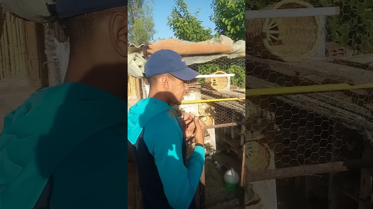 زيارة عند لأخ جويليلي لحمام الفعل الأصيل الخاريق