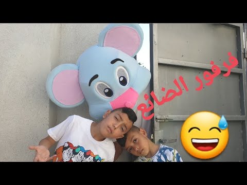 فرفور الضائع