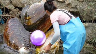 🔥🔥The Girl Discovered An Unparalleled Mutated Giant River Clam, Which Contains Precious Jewelry