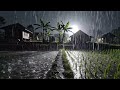 ASMR Peaceful Heavy Rain Near Rural Rice Fields | Relaxing Countryside Night Atmosphere 75