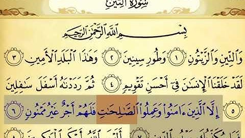 سورة التين ٦-٧ تكرار ٣ مرات