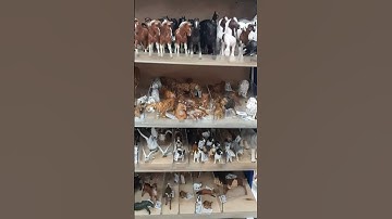 Christmas shopping !!! #papo #schleich #animalmodel #short