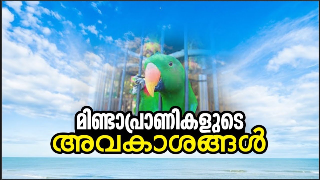 മിണ്ടാപ്രാണിയുടെ അവകാശങ്ങൾ (Animal Welfare in Islam)-Malayalam
