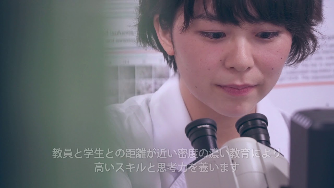麻布大学獣医学部 2007 麻布大学獣医学部 徹底解剖レポート 獣医学部ニュース：進級 留年 中退