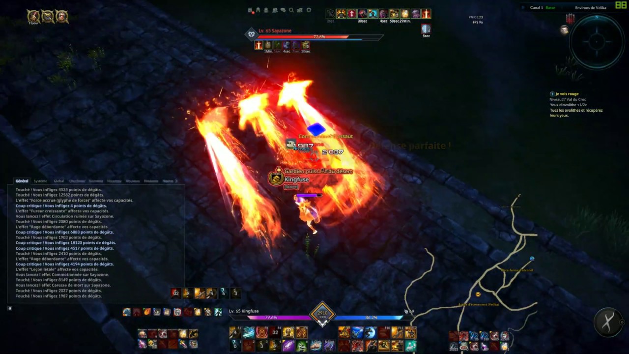 Tera : Brawler Duel Vs Reaper