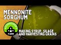 Harvesting And Processing Sorghum Syrup, Silage And Grains All From One Plant!