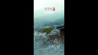 Video thumbnail of "《聲聲慢》-京腔 完整版"