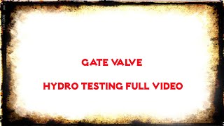 Inspection of Gate valve|| SS Grade|| Shell, Seat, Pneumatic Test||