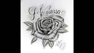 Desenhando uma rosa com nome estilo tattoo