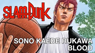 SLAM DUNK - Sono Kaede Rukawa, blood (#2 e #3)