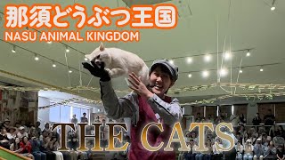 【ザ・キャッツ】日本で唯一のキャットショーを最前列で見たら猫が膝の上にきて大興奮那須どうぶつ王国2024年5月4日 午前の部