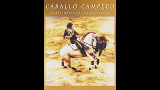 Video thumbnail of "CABALLO CAMPERO - PASODOBLE BANDA MUNICIPAL DE MANIZALES"