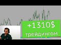 LIVE Трейдинг. Обучение