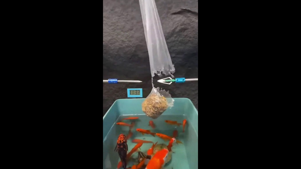 ИГРАЕМ НА СТРИМЕ ШОРТС