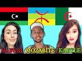Can Kabyle Nafusi Mozabite Amazighs Berbers Understand Each Other