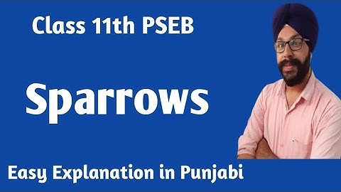class 11 english chapter sparrows sparrow class 11 english sparrow story class 11 pseb punjab board