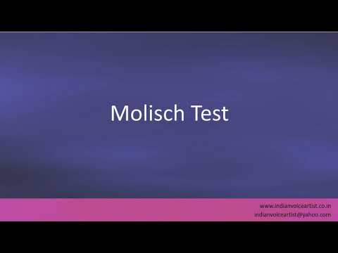 Video: Apa itu phloroglucinol dalam bahasa Inggris?