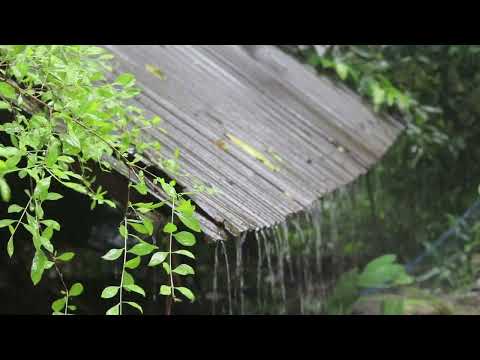 Regengeräusche zum einschlafen - starker Regen im freien