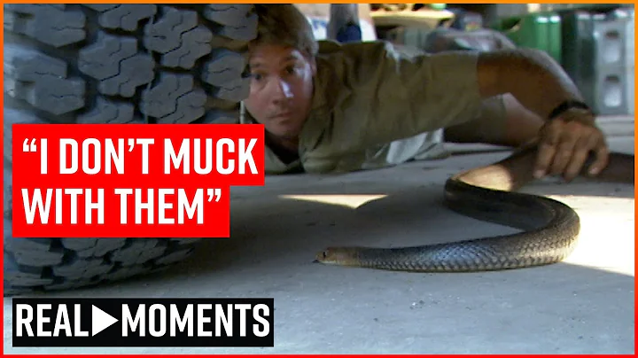 Steve Irwin Finds A Deadly Snake In His Own Garage | Real Moments