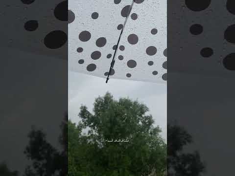 جيتك وانا كلي عنا حالات واتس عبدالله آل فروان