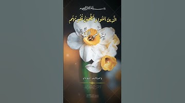 الراحه النفسيه 🌿عبد الباسط عبد الصمد تلاوة خاشعة حالات واتس اب قرآن كريم