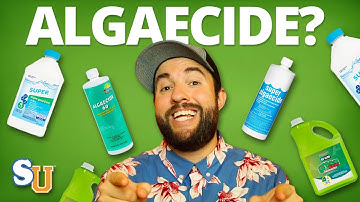The TRUTH About Using ALGAECIDE In Your POOL