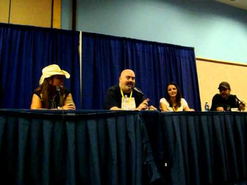 metrocon 2011 begining panel of voice actors unplu...