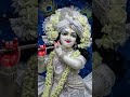 radhey radhey ji 🙏🙏🌹🌹❤️💕 #viral #shyam #youtubeshorts #trending #radheradhe
