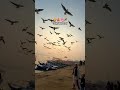 Best of Uttar Pradesh | India Tour 2026 #travel #cruisetour #touroperations #travelagency