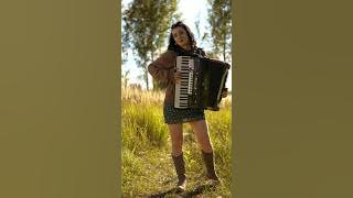 Autumn Leaves - Jazz accordion #jazz #accordion #jazzstandard #autumnleaves