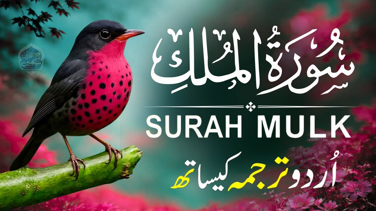 Surah Mulk with Urdu Translation | Heart Touching Recitation by Qari Mansoor Ghaznawi | Ep026