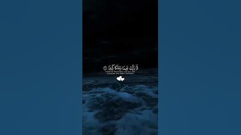 عينأ فيها تسمى سلسبيلا ـ القارئ محمد اللحيدان 🎧سورة آلانسان 🌺#اكسبلور
