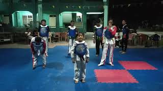 SorSU Taekwondo Kicks Training