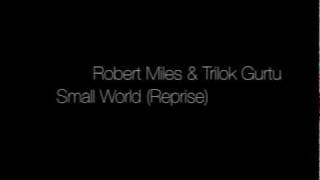 Robert Miles &amp; Trilok Gurtu - Small World (Reprise)
