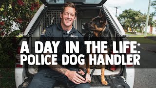 A Day in the Life: Police Dog Handler