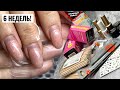 ИДЕАЛЬНАЯ НОСКА ГЕЛЯ ПОСЛЕ 6 НЕДЕЛЬ! ЧЕРНАЯ ПЯТНИЦА в Esthetic Nails! Обзор товаров