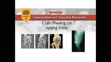 Cấp cứu chấn thương: Chapter 8: Musculoskeletal Trauma - Chấn thương cơ xương khớp - ATLS