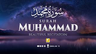 Surah Muhammad سورة محمد | Ultimate Heart Touching Quran Recitation for Deep Peace | Zikrullah TV