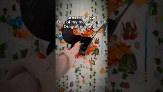 Introducing One Of My Most Scariest Dragon Puppets