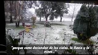 Invierno y nieve en san patricio comuna de Vilcun