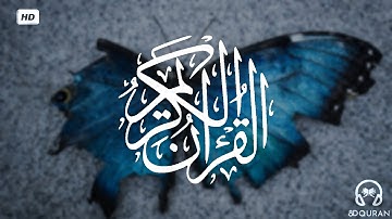 قرآن كريم بصوت مشاري العفاسي | حالات واتس اب دينية | مقاطع دينية قصيرة | ارح سمعك