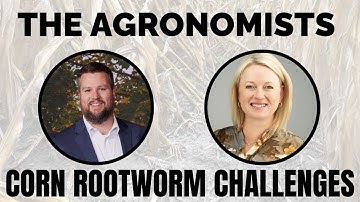 The Agronomists, Ep 221: Corn rootworm challenges with Dr. Jocelyn Smith and Greg Stopps