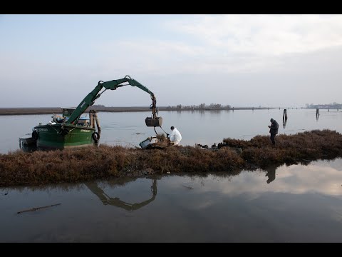 Η Βενετία αντιμέτωπη με ρύπανση από πλαστικά — Εκπρόσωποι περιβαλλοντικής ΜΚΟ στην ΕΡΤ