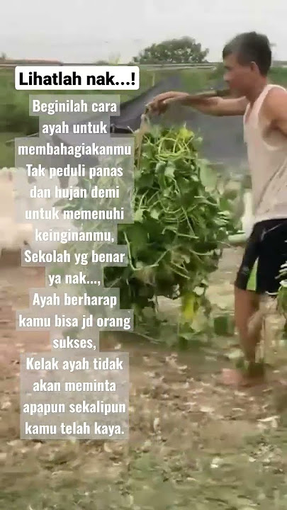 Pesan seorang ayah pada anaknya # story wa 30 dtk # story sedih fyp