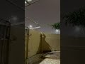 #rain #music #
