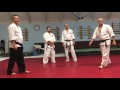 Randori no kata with tanto